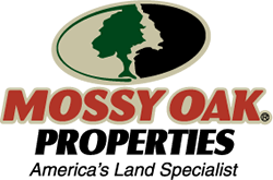 Dan Rohrer @ Mossy Oak Properties Homestead Land & Management